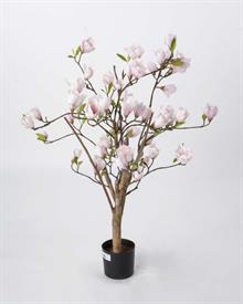 Magnolia træ i nude 80 cm - nude Rosa 